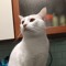 Maru