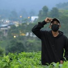 Zendal Zevit Anggi