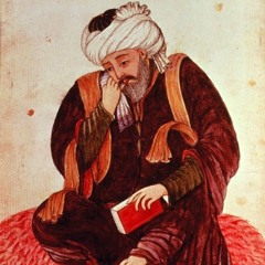 وامق.