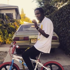 Savage gang
