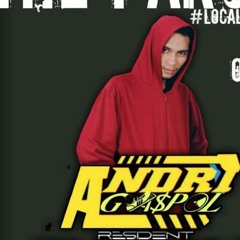 DJ ANDRI GSP