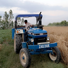 ranazaildarr