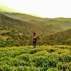 Abhishek Nagesh