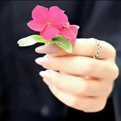 🌹🌹🌹La Rose