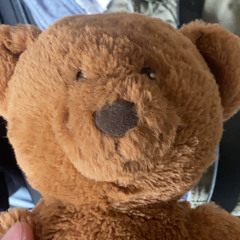 🤩🤩🤩🤩🤩🤩🤩🤩🤩🤩