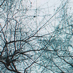 тимурка1221
