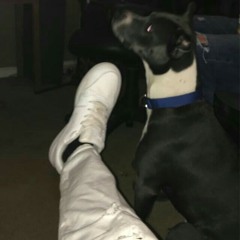 tj