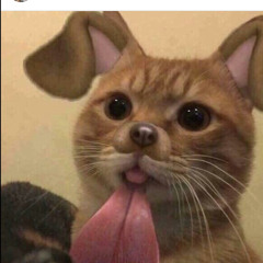 ngocmun