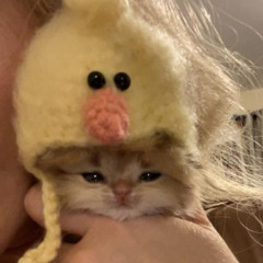 uuuu!@