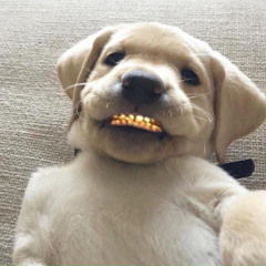 Jitt Out Da K