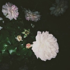 Парк Дружбы