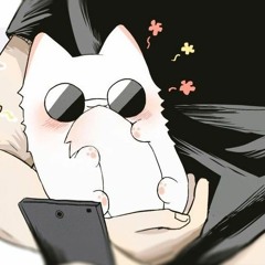 🤍Gojo cat🤍