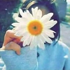 Mayar Atef