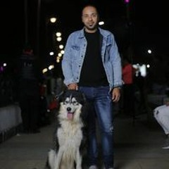 Tamer Haredy