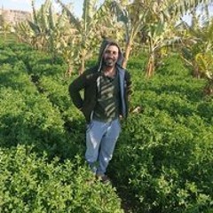 خالد سليمان