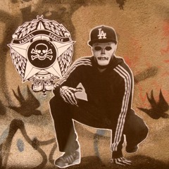 Kronik since 82