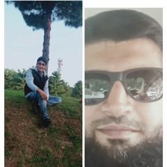 M.Amin