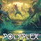 POLYPLEX