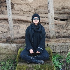 fatemeh azizan