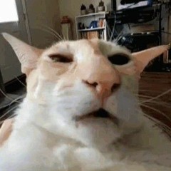 DiorgalConecSobaki