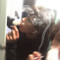 jay