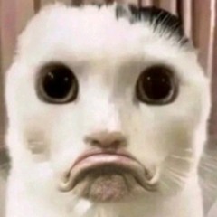 no