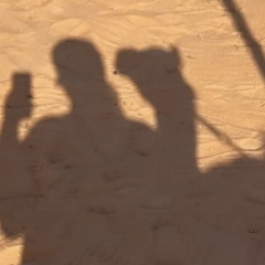 بو سنيده