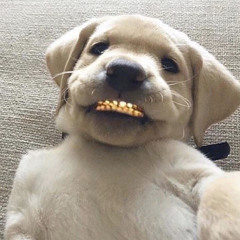 diegoz