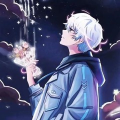 流星
