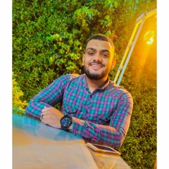 Mostafa Elsayed