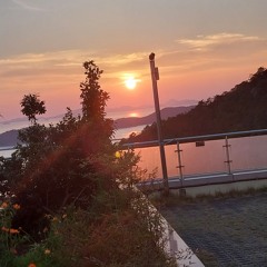 어노운 장물칠까남