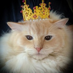 SirGatsby