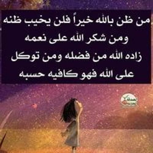 معتز ابو عصوه’s avatar