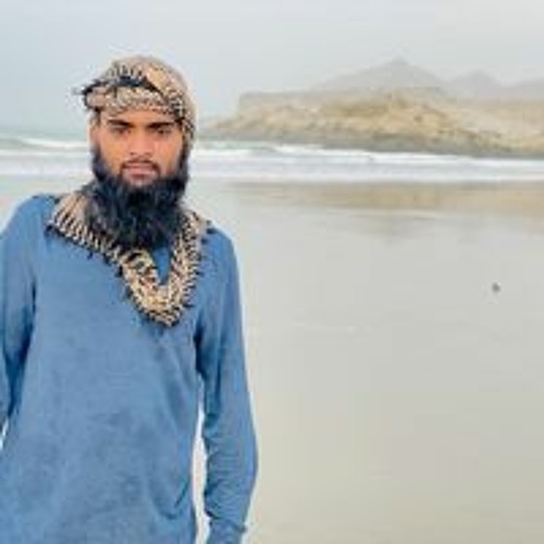 Raja Waqar’s avatar