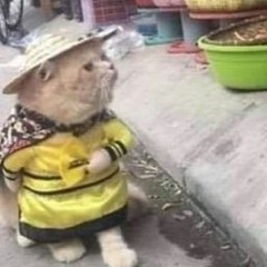 Jimbo