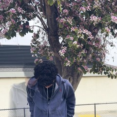 gss4k