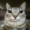 миникотик