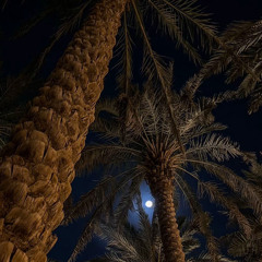 القران الكريم