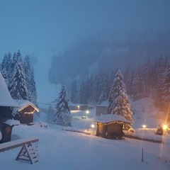 Tronert