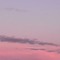 Elya_33