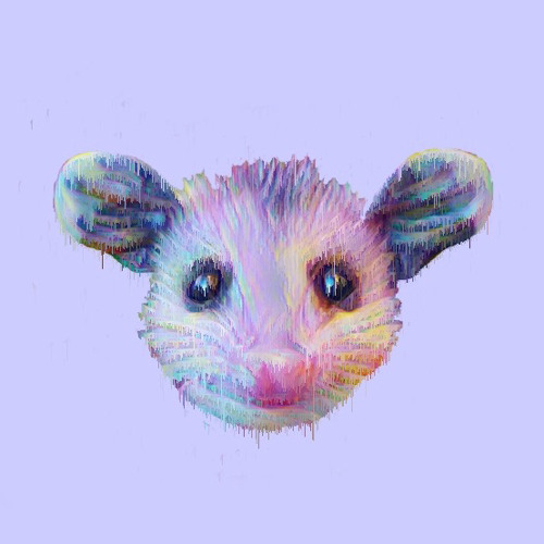 opossumthumb’s avatar