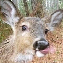 【k】【r】【o】【w】
