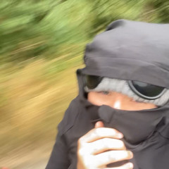 Marley ż