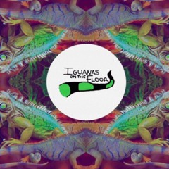 Iguanas On The Floor🦎