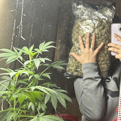 Qxeen.K