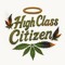 high_class chaos