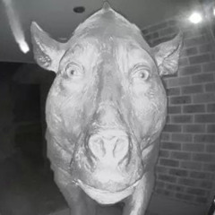 xypherath