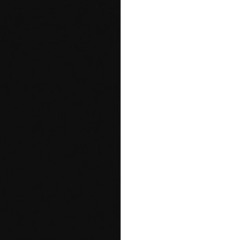 just an average dude