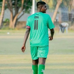 the_naail