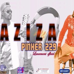 PINHER 229
